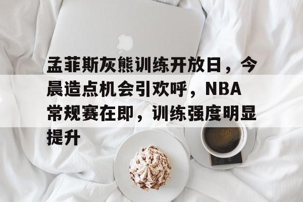 孟菲斯灰熊训练开放日，今晨造点机会引欢呼，NBA常规赛在即，训练强度明显提升的简单介绍-开云